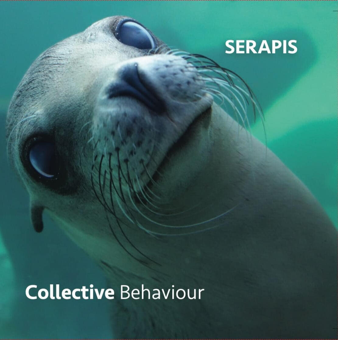 Collective Behaviour